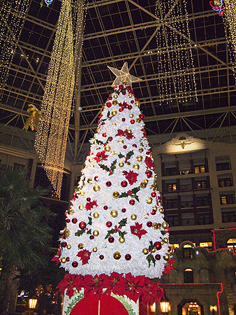 Gaylord Texan Christmas Tree ICE! 2010 sager.org