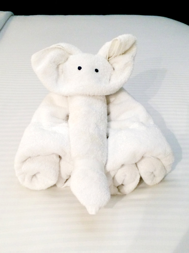 Towel animal!