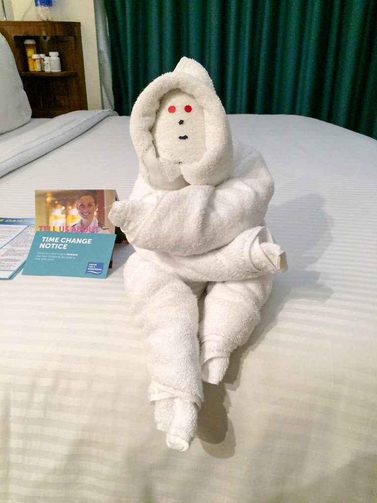 Towel animal