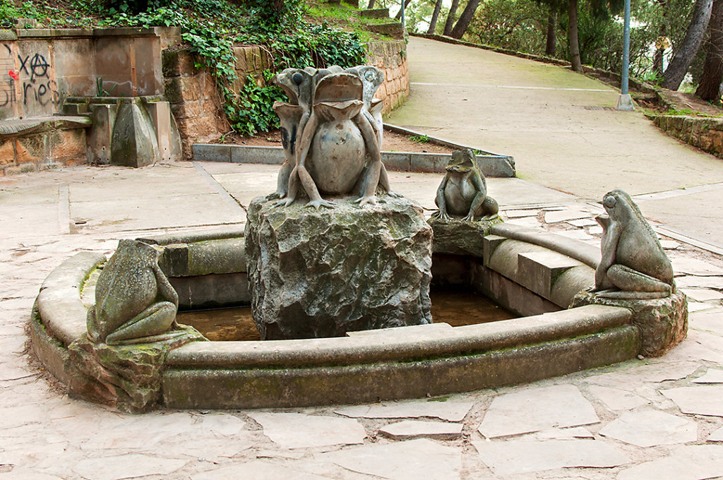 Frog fountain