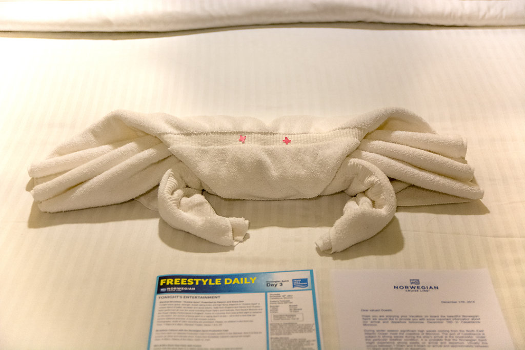 Towel animal!