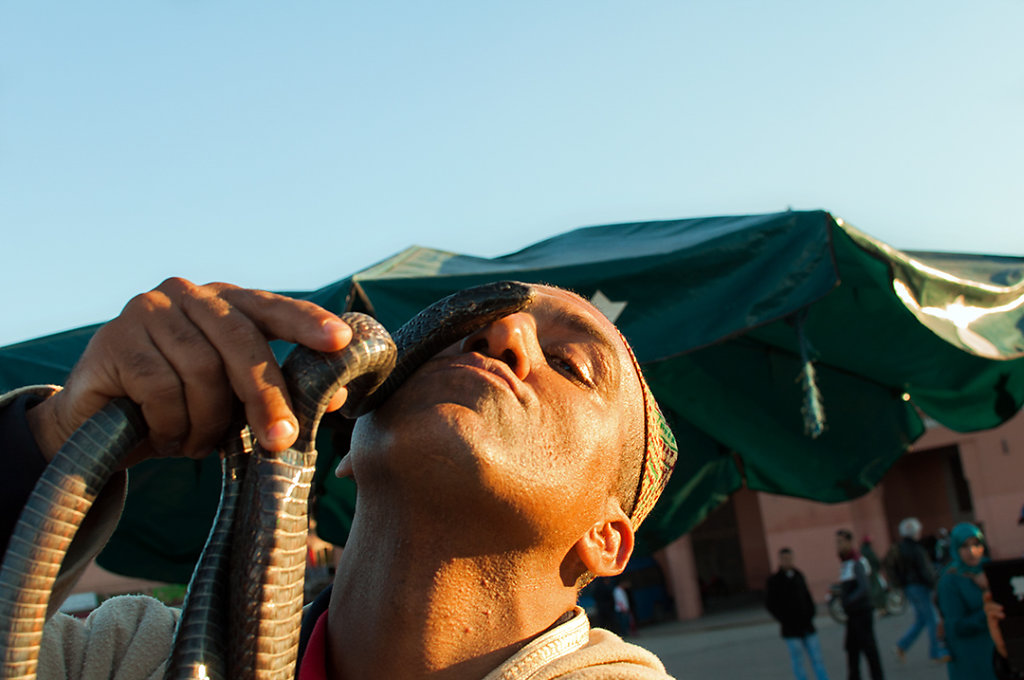 Snake Charmer