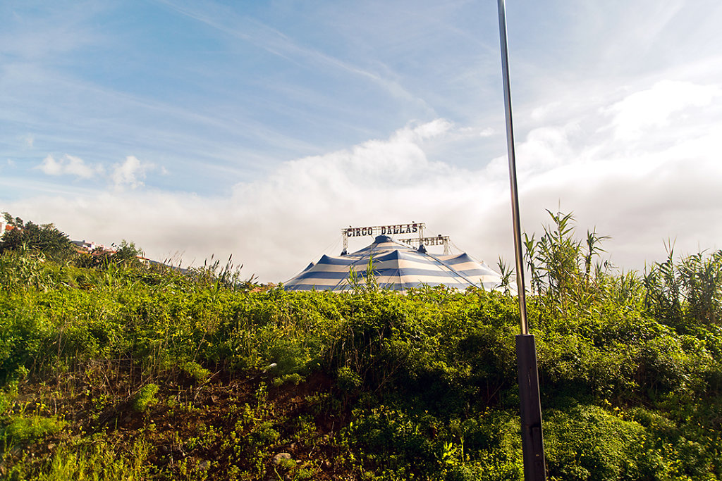 Circo Dallas