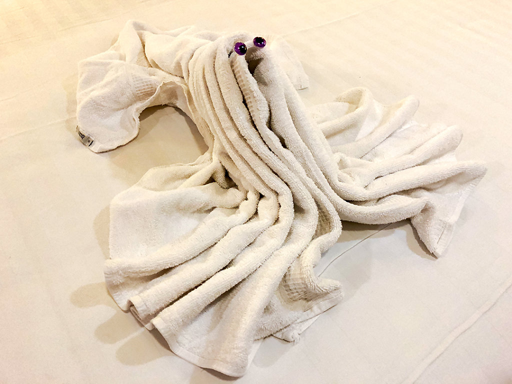 Towel animal!
