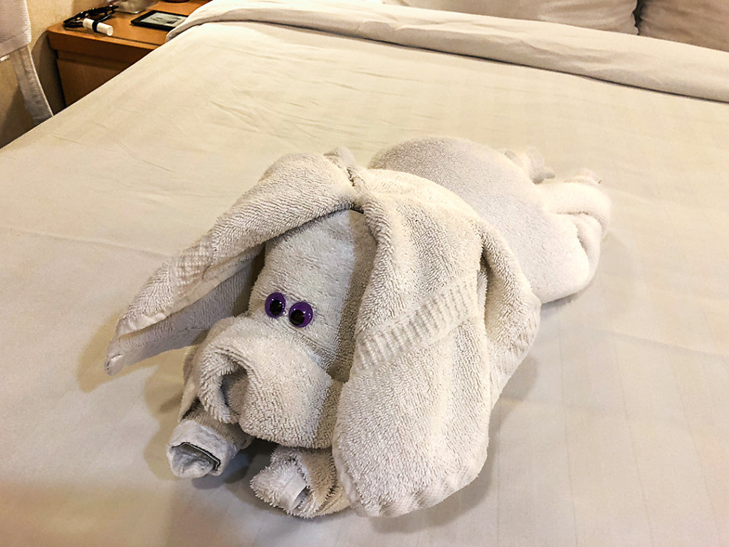 Towel animal!