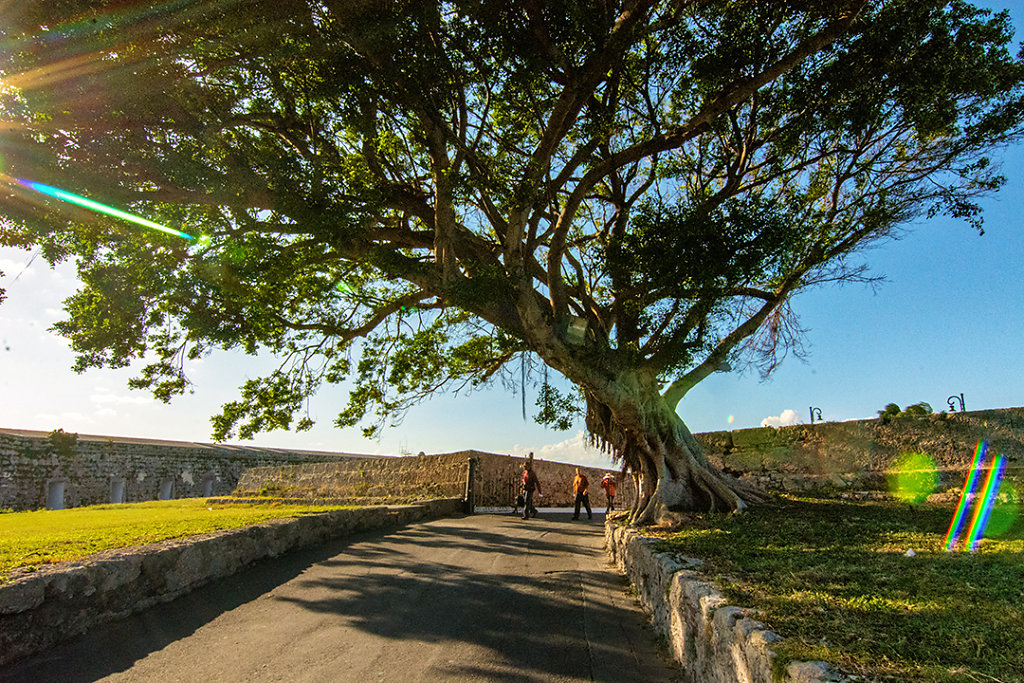 Arriving at the fort
