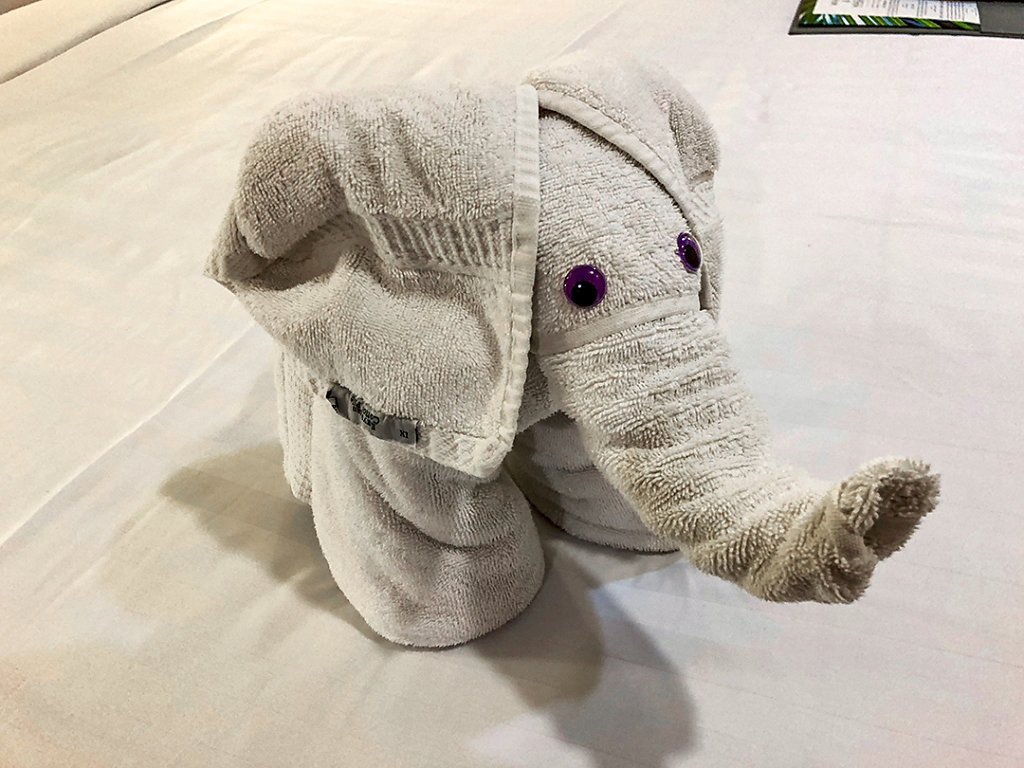 Cute elephant!