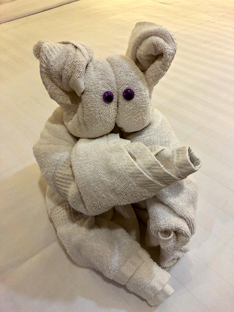 Towel animal!