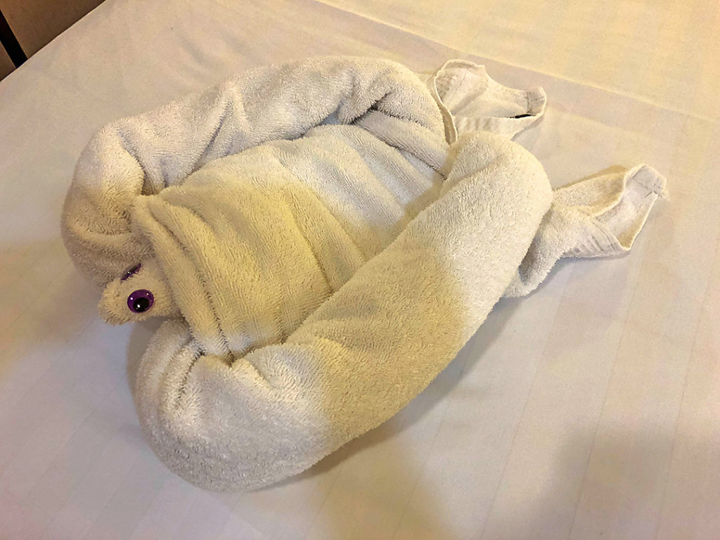 Towel animal!