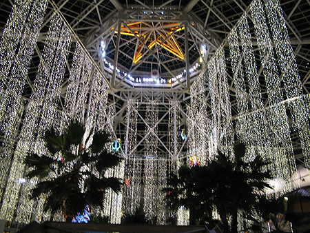 ICE! Gaylord Texan Charlie Brown Christmas sager.org