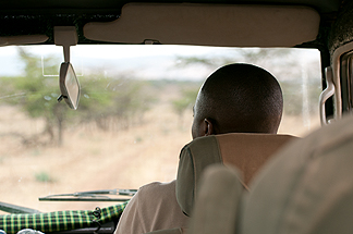 Tanzania Safari Guide Njano