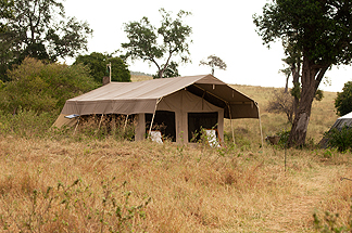 serenghetti camp tents