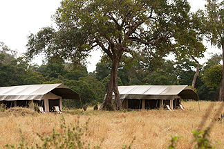 tent serengetti camp