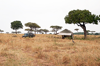 serengetti base camp