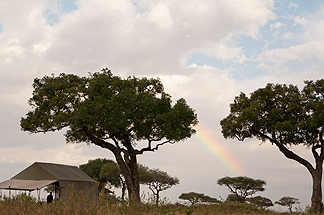 serengetti rainbow