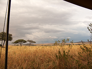 tanzania serengetti rain