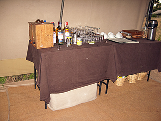 serengetti camp bar