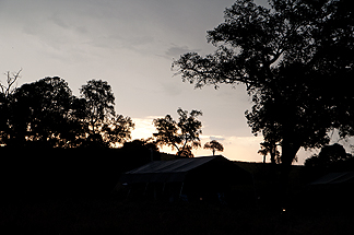 serengetti camping night