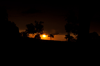 serengetti camp sunset