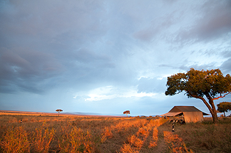 Serengetti camp sunset