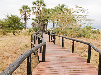 Tanzania Tarangire Permanent Camp