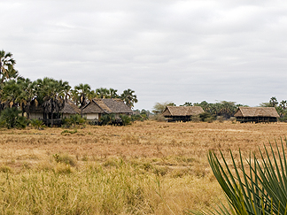 Tanzania Tarangire Permanent Camp