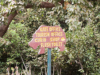 Tanzania Lake Manyara National Park Africa