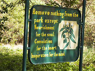Tanzania Lake Manyara National Park Africa