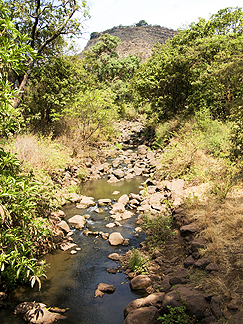 Tanzania Lake Manyara National Park Africa