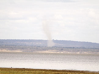Tanzania Lake Manyara National Park Africa dust devil