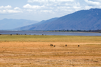 Tanzania Lake Manyara National Park Africa