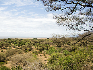 Tanzania Lake Manyara National Park Africa