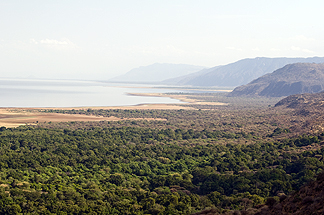 Tanzania Lake Manyara National Park Africa Safari
