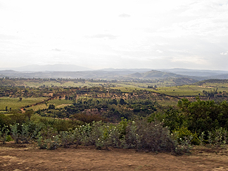 Tanzania Lake Manyara National Park Africa Safari