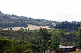 Tanzania Lake Manyara National Park Africa Safari