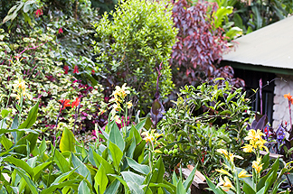 Tanzania Lake Manyara National Park Africa Gibbs Farm Lodge