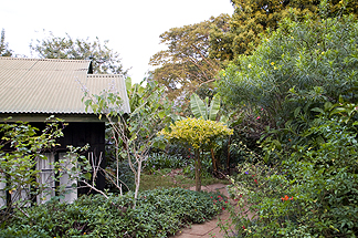 Tanzania Lake Manyara National Park Africa Gibbs Farm Lodge