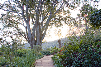 Tanzania Lake Manyara National Park Africa Gibbs Farm Lodge