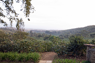 Tanzania Lake Manyara National Park Africa Gibbs Farm Lodge