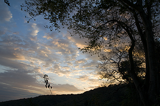 Tanzania Lake Manyara National Park Africa Gibbs Farm Lodge