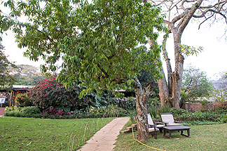 Tanzania Lake Manyara National Park Africa Gibbs Farm Lodge