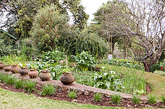 Tanzania Lake Manyara National Park Africa Gibbs Farm Lodge