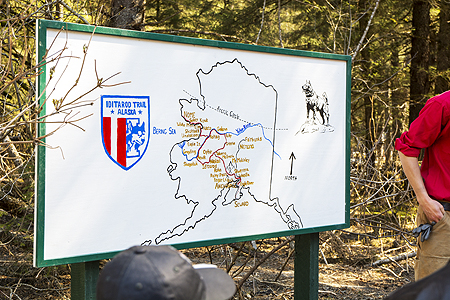 Iditarod Alaska sled dogs