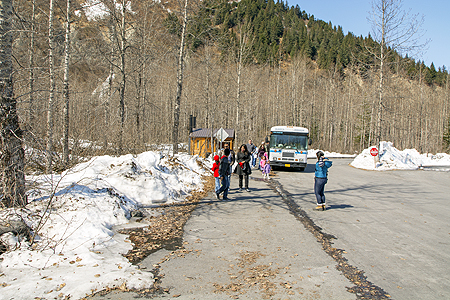 Exit Glacier