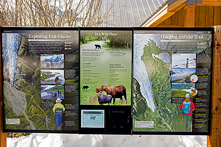 Exit Glacier trails