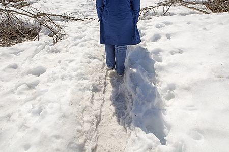 snowy trail Exit Glacier
