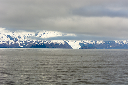 seward alaska whale tour