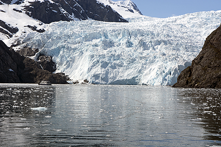Holgate Glacier Seward Alaska