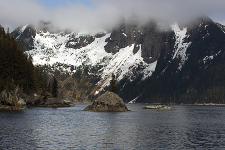 Seward Alaska Orca Tour