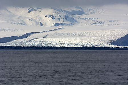 Aialik Glacier